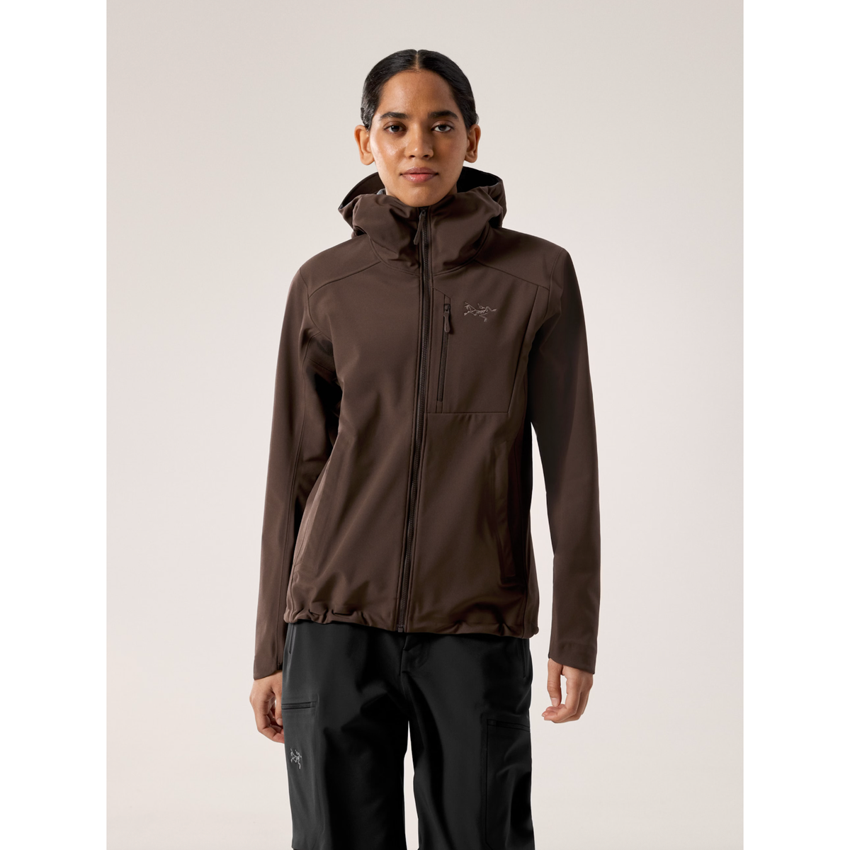 Arc'teryx Women's Gamma MX Hoody