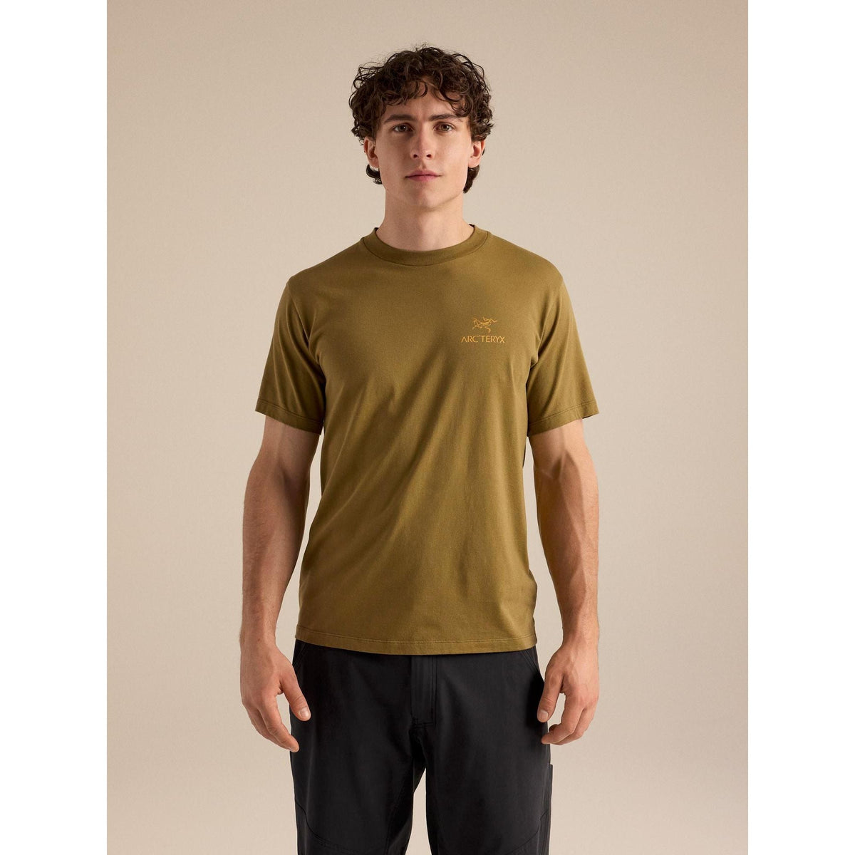 Arc'teryx Men's Kragg SL Cotton Bird Word SS