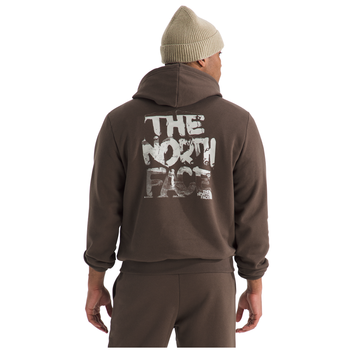 The North Face Men's Evolution Nature Exposure Hoodie - Graphic