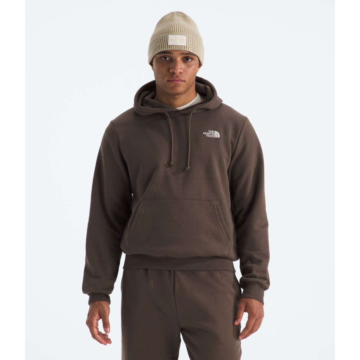 The North Face Men's Evolution Nature Exposure Hoodie - Graphic